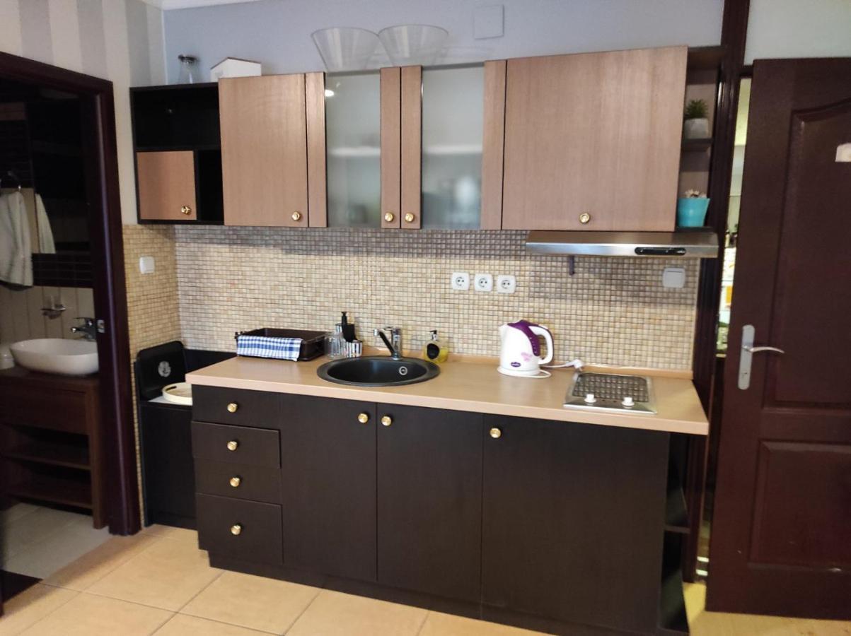 Vila Mila Riverside Apartments Szendrő Kültér fotó